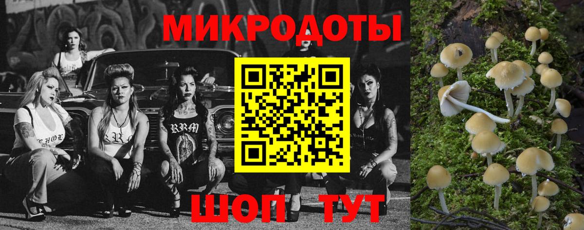 Сергиев Посад  Галлюциногенные грибы Magic Shrooms  Вход с VPN  Галлюциногенные грибы GOLDEN TEACHER 
